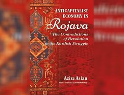 Anticapitalist Economy in Rojava