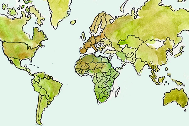 The CFA Franc Zones: Neocolonialism and Dependency