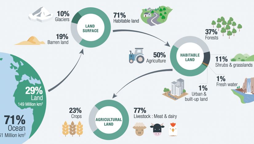 Economic Introduction to the Ecological Crisis - Economy Studies