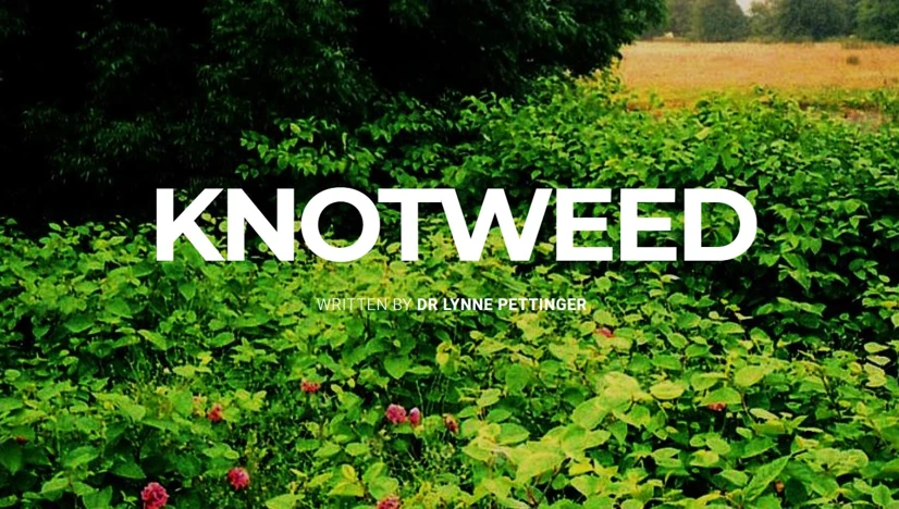 Knotweed – I-PEEL.org