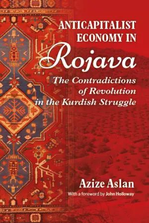 Anticapitalist Economy in Rojava